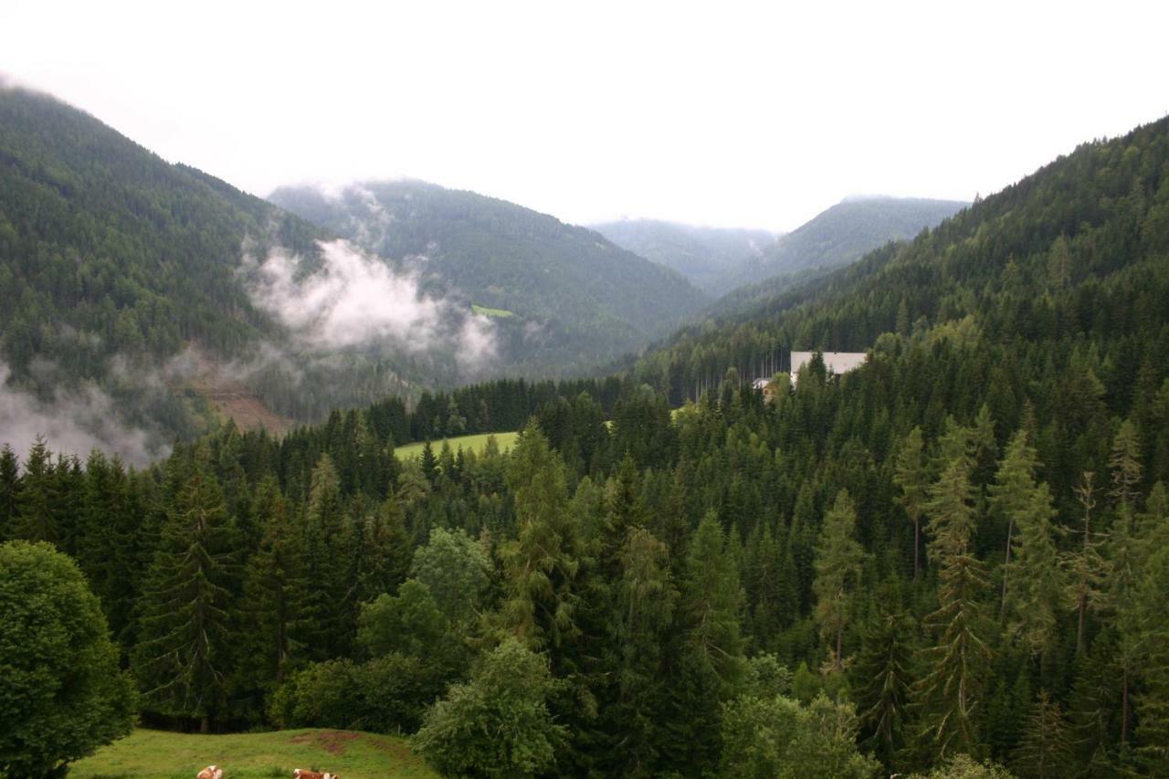 Fewo Nr. 15 Haus Konradgut Sankt Lorenzen ob Murau Exteriér fotografie